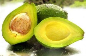 بلسم الافوكاتو