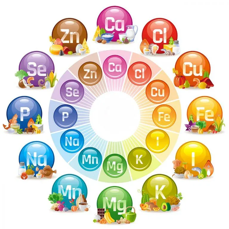 الفيتامينات ما لها وما عليها