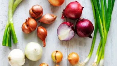 شوربة البصل1