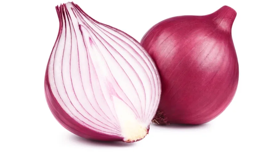 شوربة البصل