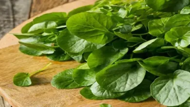 الجرجير لتقوية الشعر