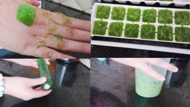 الخيار والنعناع للتخلص من التجاعيد