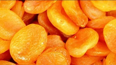 صناعة المشمشية