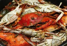 كابوريا من مطبخي