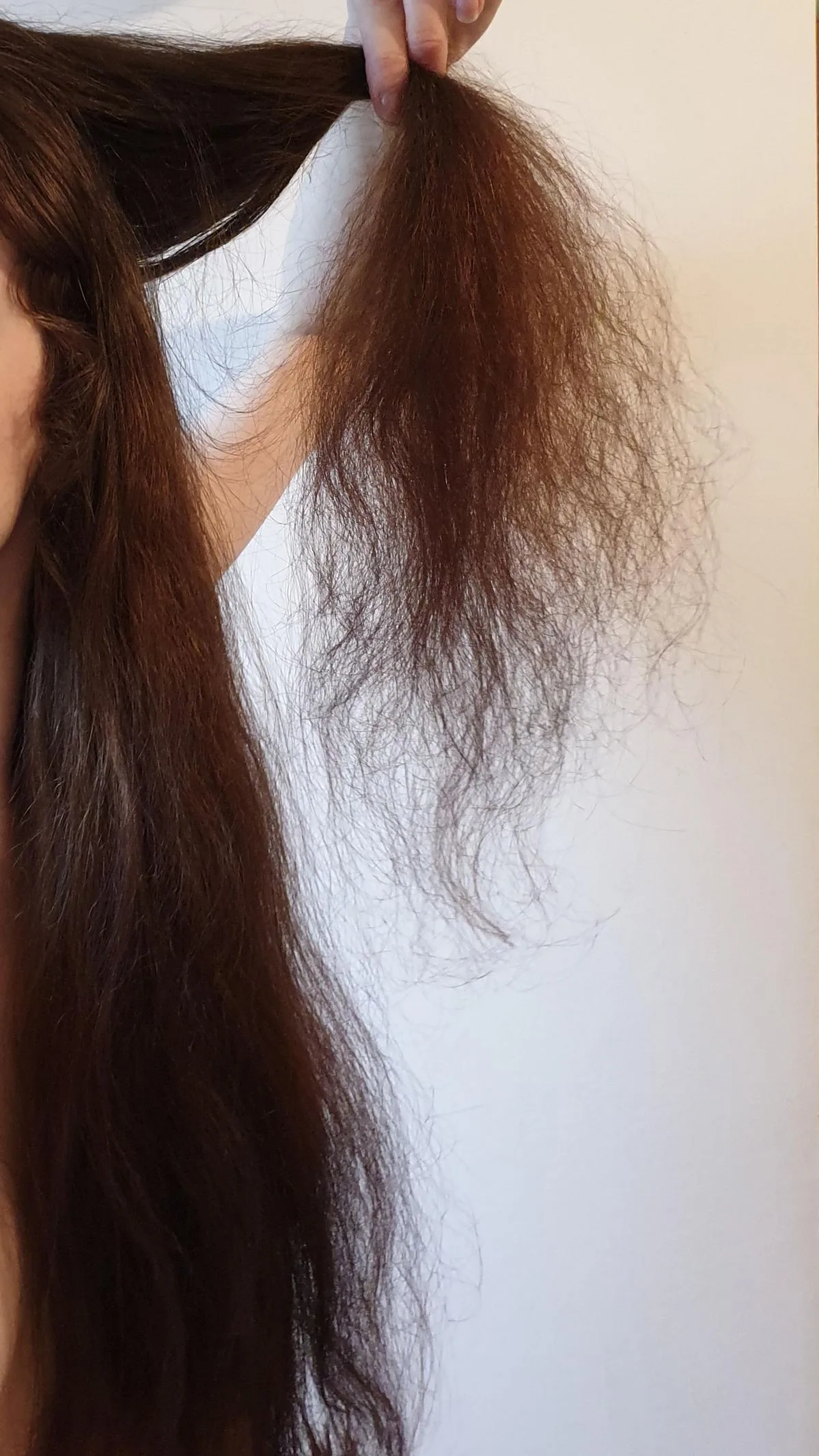 وصفات طبيعية للعناية بالشعر الهائش 2