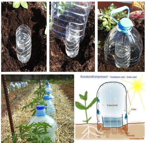 إعادة تدوير الزجاجات البلاستيك وتحويلها إلى حديقة