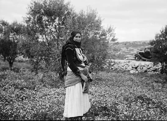 إمرأة لوبانية ( من قرية لوبية - قضاء طبريا)