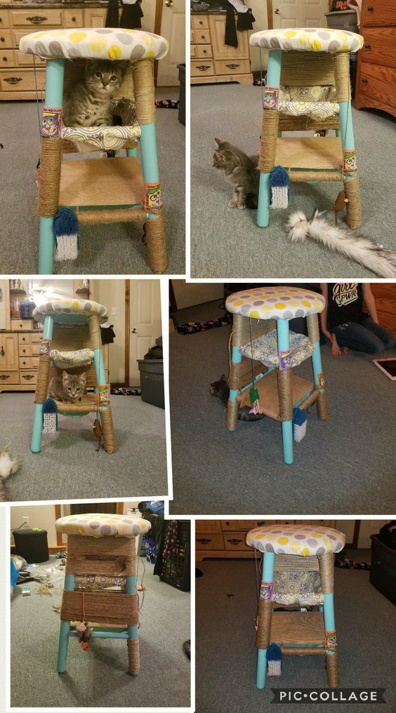 ألعاب القطط مع كرسى قديم