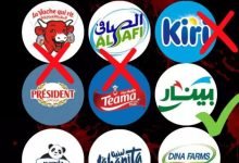مفيش منتج مالوش بديل