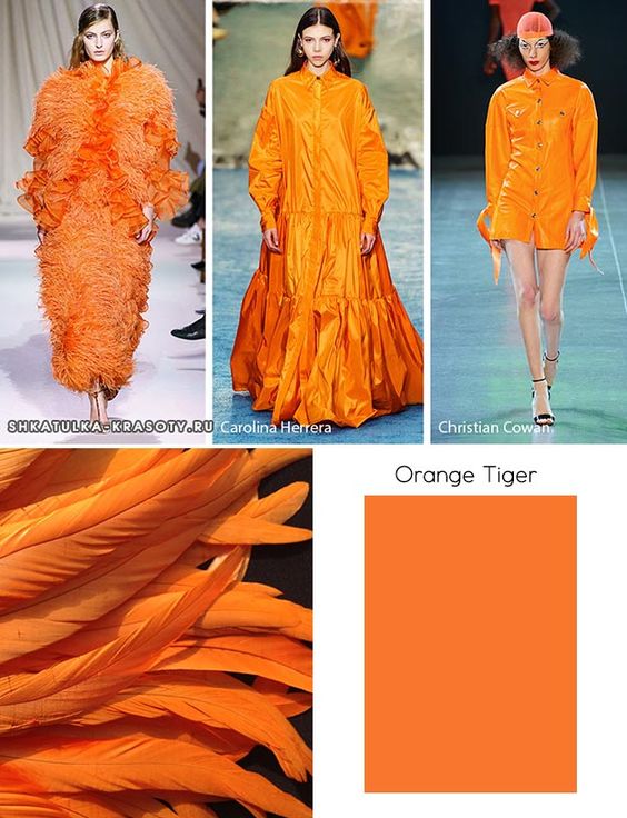 اللون البرتقالي أحدث خطوط الموضه لشتاء ٢٠٢٤-5