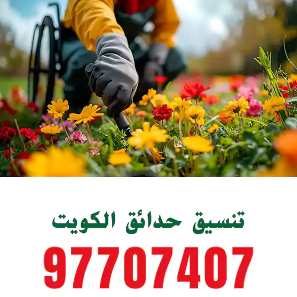 تنسيق حدائق الكويت