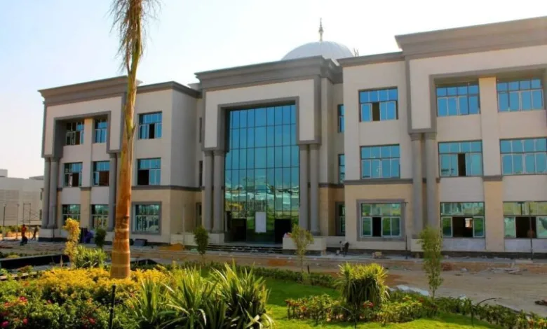 الجامعات الجديدة في مصر