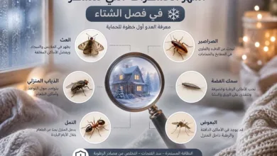 أنواع حشرات الشتاء في الكويت